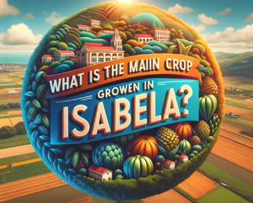 What is the Main Crop Grown in Isabela?