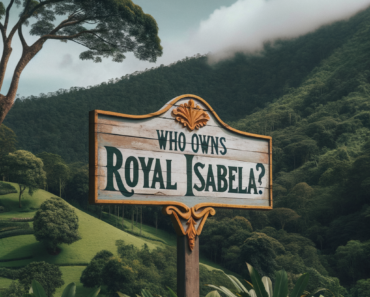 Who owns Royal Isabela?