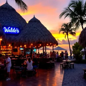 Sunset Cocktails at Waldo’s