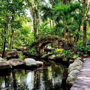 Wander McKee Botanical Garden’s Tropical Oasis