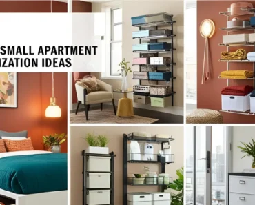 15 Smart Small Apartment Organization ideas