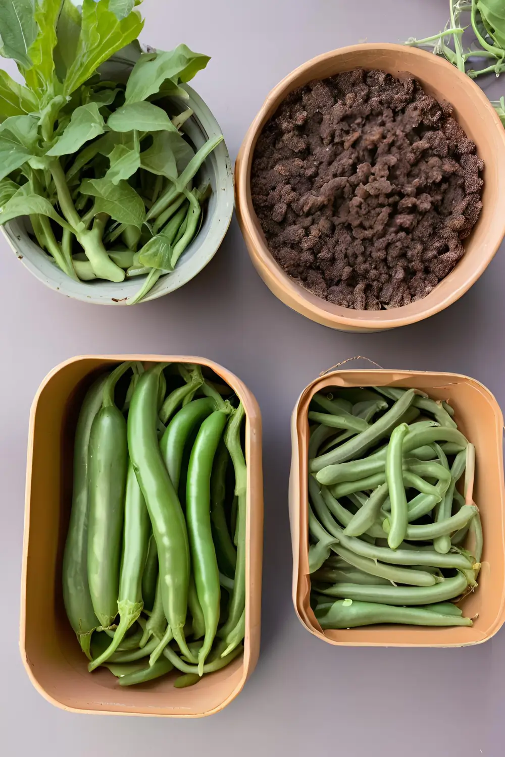 Eggplant + Green Beans