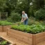 Raised Beds in Gardening for Beginners and Experts