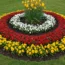 How to Make a Flower Bed: 7 Simple Steps to Vibrant Blooms