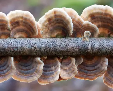 11 Celebrities Who Have Never Attended the Met Gala