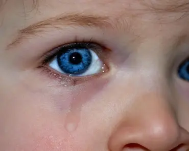 7 Different Eyebrow Shapes and Who They Flatter Most Guide