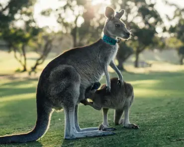 Victoria Beckham Unleashes New Era: 7 Surprising Facts About Her Reunion with…