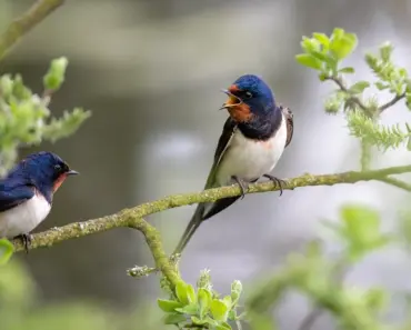 Calling It: These Will Be the 30 Most-Wanted Sandals of 2026