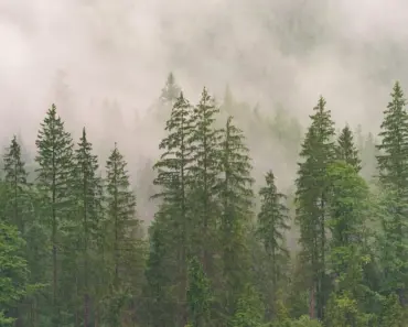 “11 Jaw-Dropping Lip Reading Secrets Exposed: West Wilson and Amanda Batula’s Yankees…