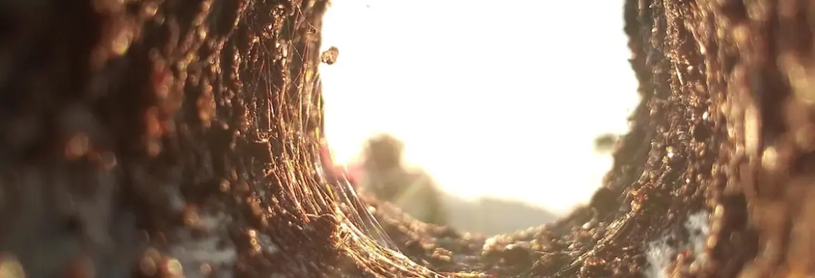 Beyond the Villa’ (Exclusive)