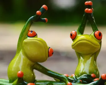 13 Essential Fit Tips, Styling Ideas, and Our Favorite Recent Finds for a Chic and…