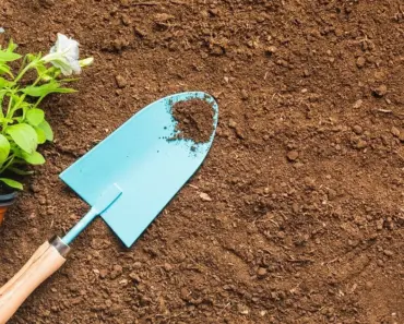 7 Essential Tools for Your Garage, Shed, and Garden