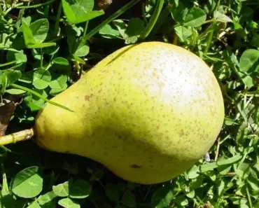 13 Must-Have Items at Zara, Revolve, and H&M for a Chic Spring 2026 Wardrobe