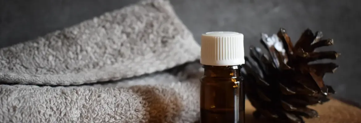 11 Essential Spring Care Tips for a Vibrant Dahlia Bloom