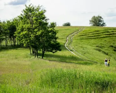 Landscape Designers Share Their 5 Favorite Colorful Shrubs
