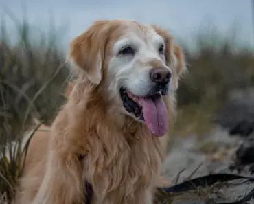 Katie’s Anti-Trend Flat Shoes That Make Maxi Skirts Unbelievably Cool