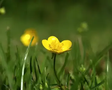 5 Spring Trends This Chic Parisian Mom Borrows From Her Daughters