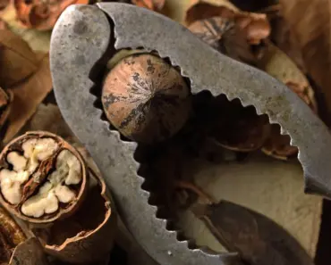 Top 11 Undergraduate Engineering Schools on the East Coast Revealed