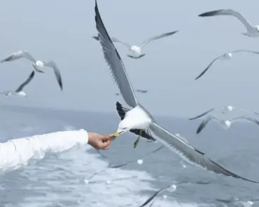 Feeding and Supporting Your Athletic Kids