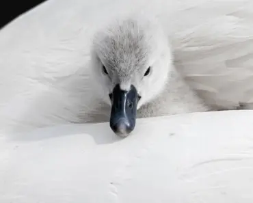 8 Elegant Brands I Trust for My 2026 Bridal Wardrobe