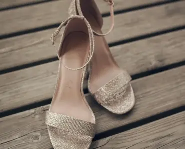 7 High-Maintenance Houseplants To Avoid Or Embrace