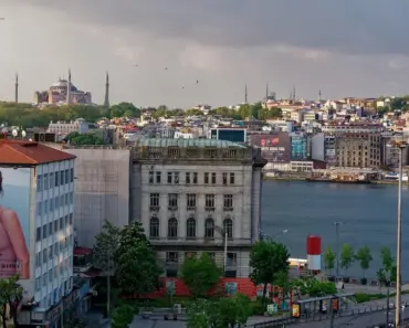 Sophie Blackall Reveals 7 Underrated Picture Books That Will Steal Your Heart