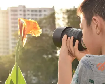 Discover the Secret Symbols Behind Your Birth Month Animal: 11 Hidden Meanings