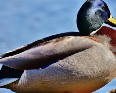 8 Shimmering Body Oil That Looks Expensive, Not Tacky 8 Shimmering Body Oil That Looks Expensive, Not Tacky