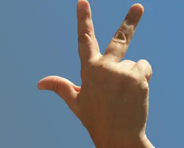 Every Buzzy Thing to Do, See, and Shop in NYC This Spring