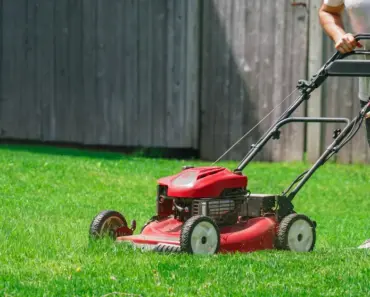 This Is What Happens When You Use Last Season’s Gas In Your Lawn Mower This Is What Happens When You Use Last Season’s Gas In Your Lawn Mower