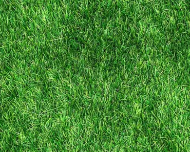 11 Eco-Friendly Gift Ideas That Will Make the Conscious Mom in Your Life Go Green