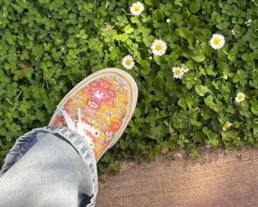 These Are the 16 Most Ethereal Water Lily and Lotus Scents These Are the 16 Most Ethereal Water Lily and Lotus Scents