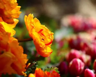 12 Freezer Meal Recipes Future You Will Be Thankful You Made