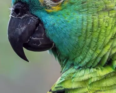 7 Random Amazon Finds Scary Mommy Editors Love (April 2026)