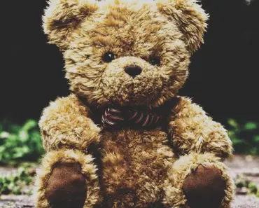 The 11 Reasons Why Parents Are Obsessed With Finding Needoh Toys For Their Kids