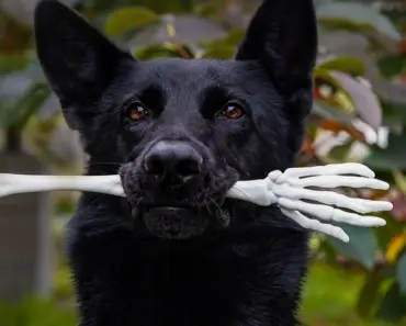 13 Backyard Fun Ideas to Bring Joy to Your Kids’ Lives