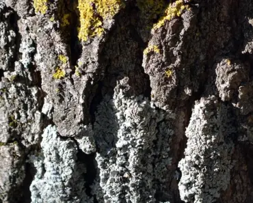 11 Must-Have Fashion Essentials to Pack for a Stylish Beach Vacation