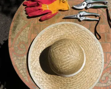 7 Reasons Everyone Is Switching to This Grown Ballet Take