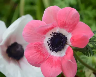 Christina Milian & Daughter Violet’s European Holiday Traditions Feel Straight Out Of A Christmas Movie