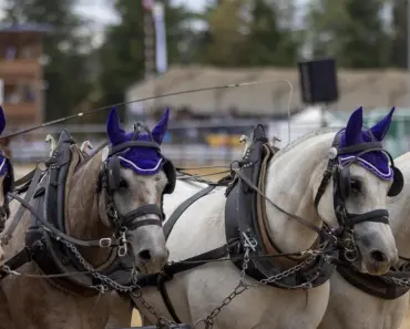 11 Reasons Why Everything is Skyrocketing in Price and What to Do About It