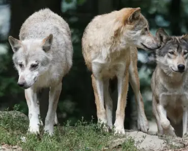 Why I Pack 3 Essential Sunscreens for Every Weekend Getaway