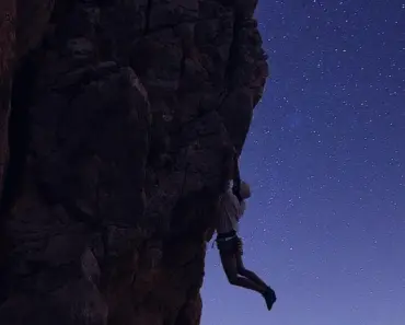 7 Climbing Roses That Bloom All Summer – For Lasting Beauty