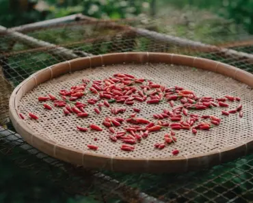 7 Spicy Romantasy Books Like ‘ACOTAR’