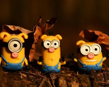 Unconventional Great Items Every Shopping Editor Swears By