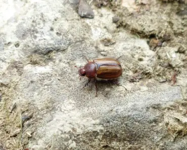 Nicole Kidman Steals the Spotlight in Chanel Eyewear Campaign: 5 Jaw-Dropping Looks That…