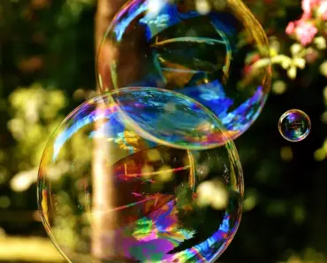 60+ Easy Dinner Ideas