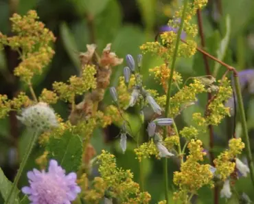 What to Do With Orchids in April – Easy Spring Reset What to Do With Orchids in April – Easy Spring Reset