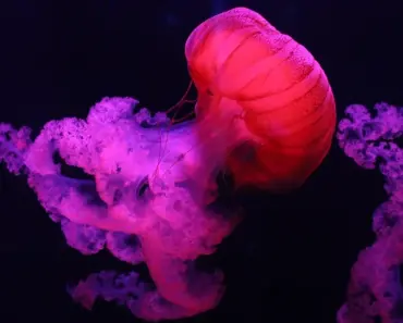 7 Life-Changing Lessons from Jordan Raynor’s Word Before Work