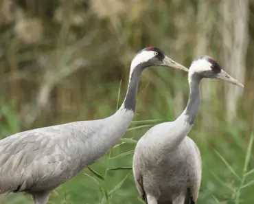 7 Simple Sustainable Swaps for a Greener Home and Closet