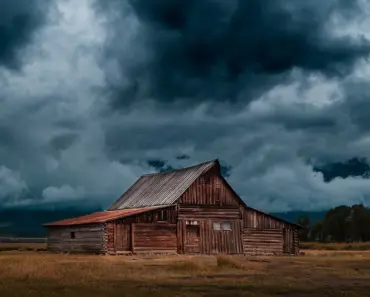 “13 Timeless Classic Annual Flowers to Brighten Up Your Garden”